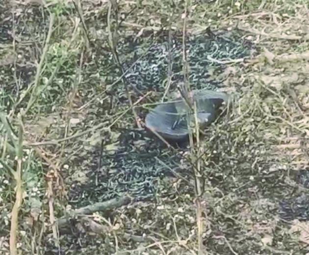 चलो चलते हैं घूमने, पत्नी को झांसे में लेकर पति ले गया मुक्तिधाम और लगाई आग