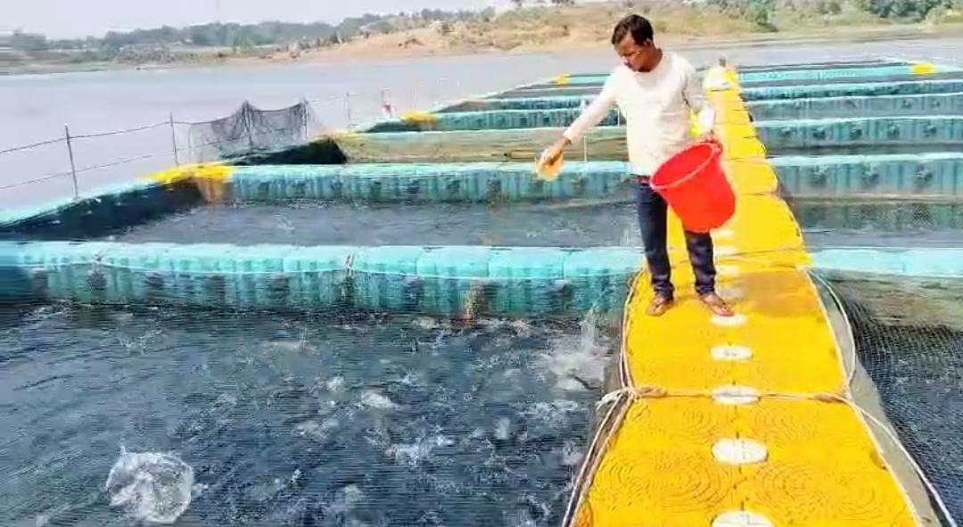 फिशरी साइंस के छात्र रहे गंगाधर मछली पालन से बने लखपति