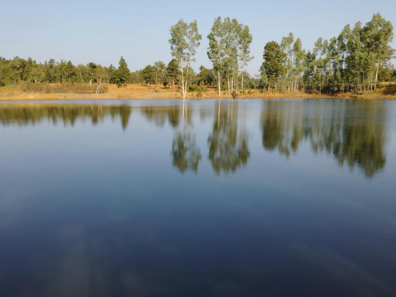 टेड़गा तालाब बना अमृत सरोवर- सिंचाई, मत्स्य पालन और आर्थिक सशक्तीकरण का केंद्र
