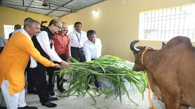 राज्यपाल रमेन डेका ने गौशाला का किया लोकार्पण