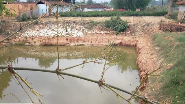 डबरी निर्माण से संवरी किस्मत: बहुफसली खेती और मछली पालन से बढ़ी आय