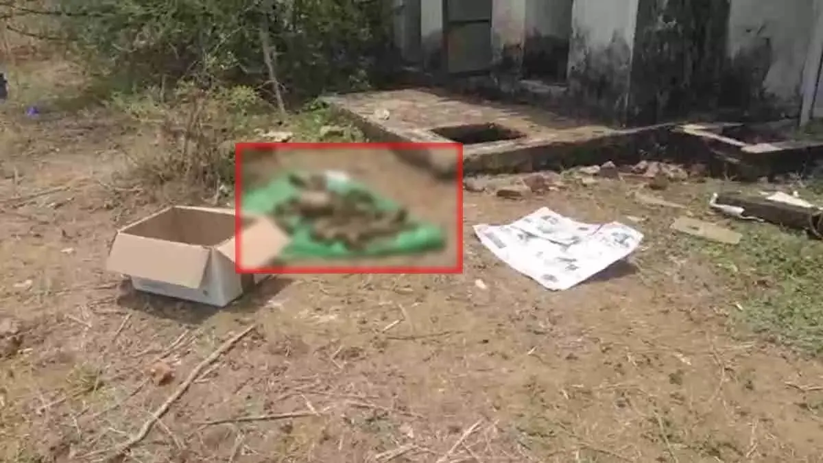 सेप्टिक टैंक में मिला पुराना नरकंकाल, फैली सनसनी