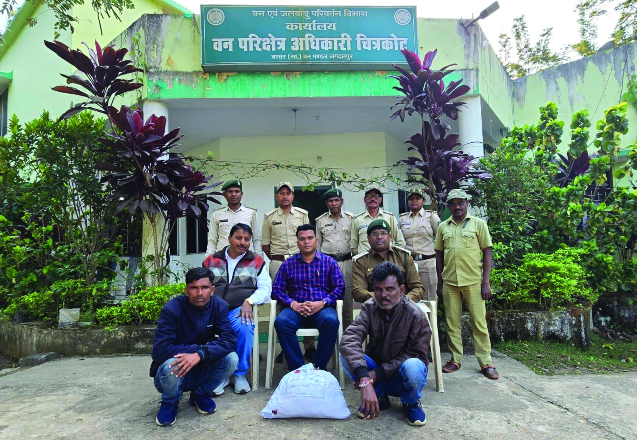 पेंगोलिन तस्करों पर कसा शिकंजा, तीन तस्कर पकड़ाए