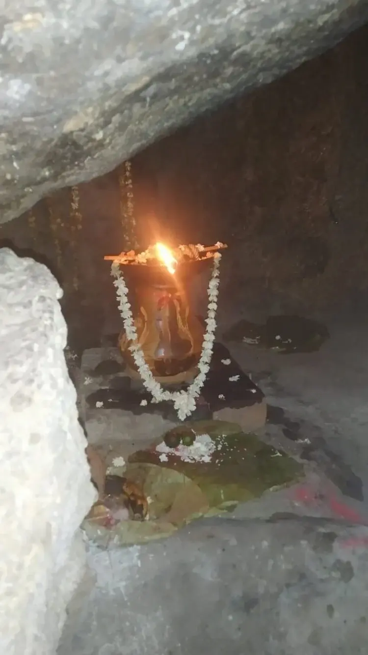 चैत्र नवरात्र में जनकल्याण हेतु श्रृंगी ऋषि में किया गया है मुख्य ज्योत प्रज्वलित