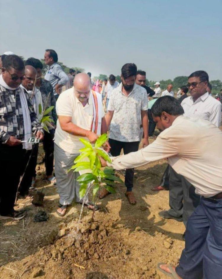विधायक ब्यास कश्यप ने लिखा वन सचिव को पत्र, जिले में वृक्षारोपण कराने की रखी मांग