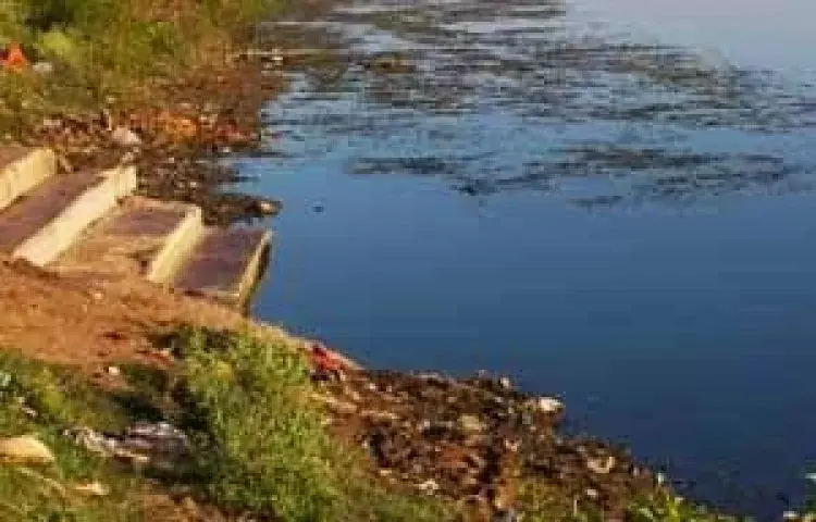 घरघोड़ा क्षेत्र के तालबों का अस्तित्व समाप्त होने की कगार पर , तालाबों का बहुत बड़ा हिस्सा कब्जाधारियों के चढ़ा भेंट 