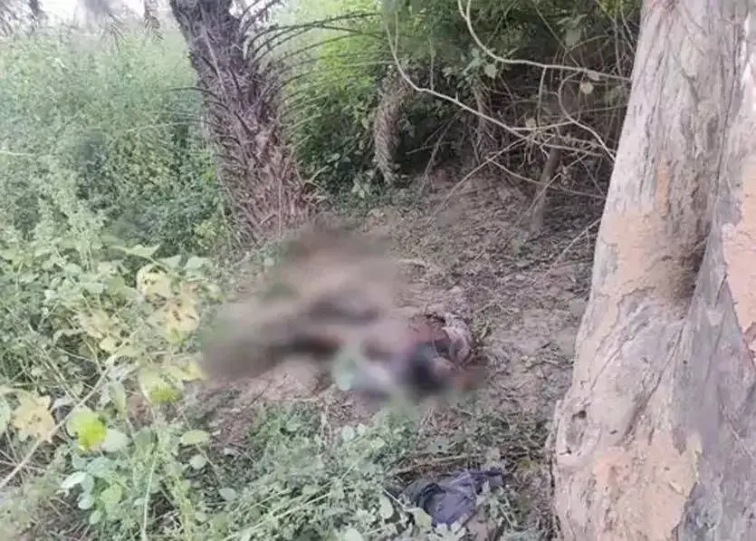 सड़क किनारे झाड़ियों में मिली युवक की सड़ी-गली लाश, बदबू से लोग थे परेशान