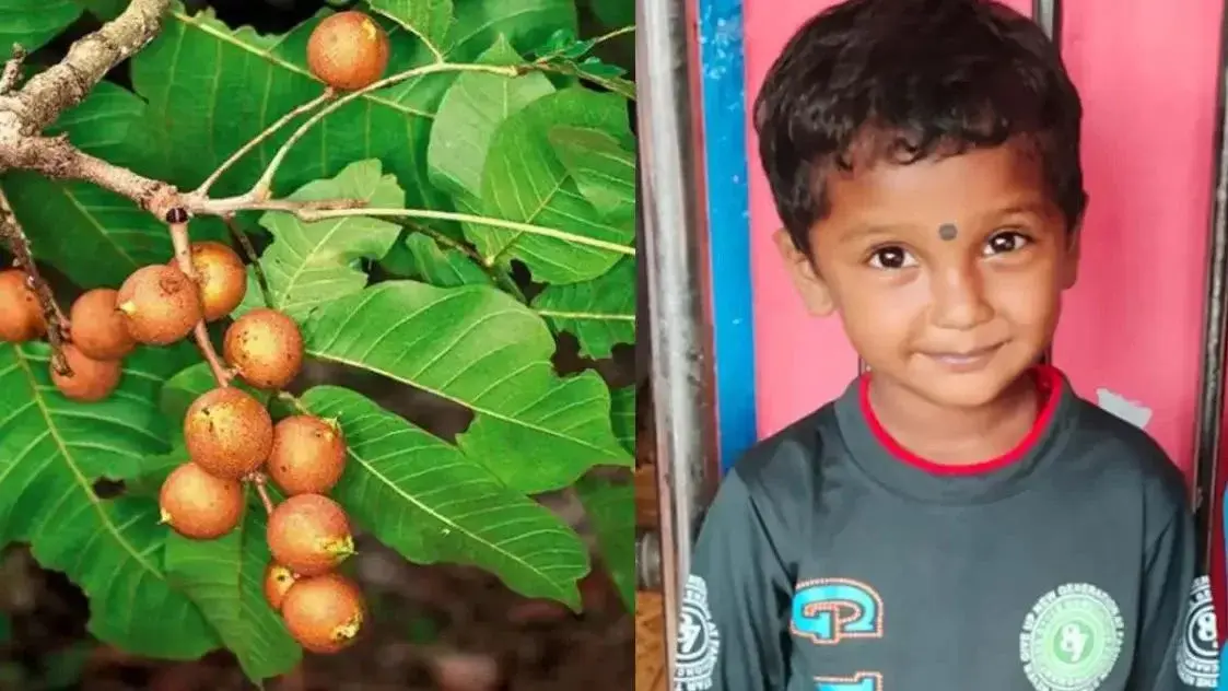 खेल-खेल में बच्चे ने खा लिया कोसम का बीज, अस्पताल में इलाज के दौरान मौत