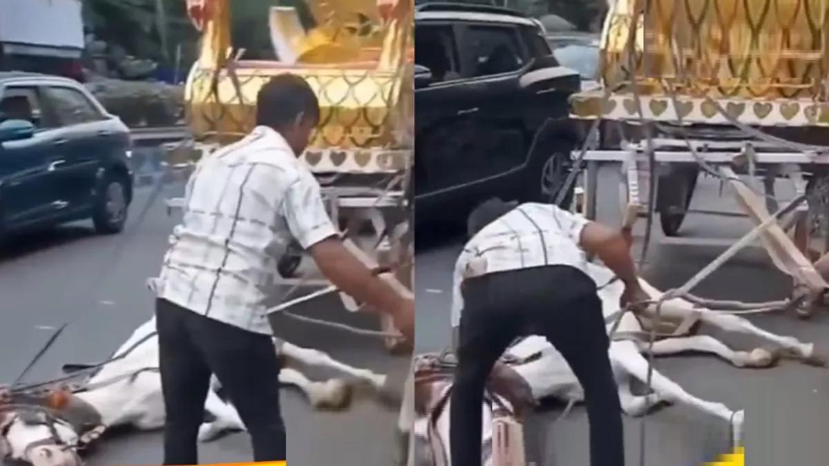 कोलकाता में चिलचिलाती गर्मी में सडक़ पर गिरा घोड़ा, बेरहम मालिक बरसाता रहा थप्पड़