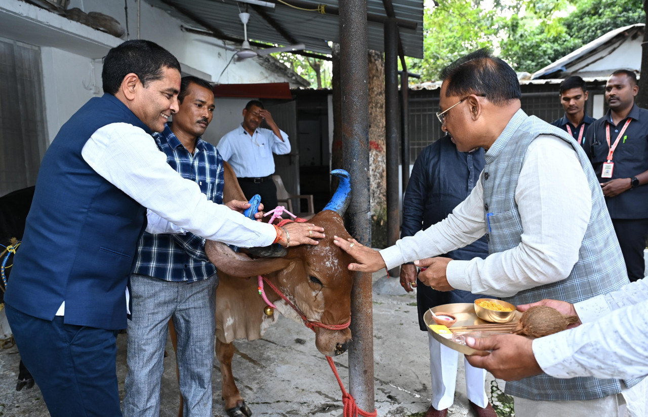 cm sai govardhan pooja